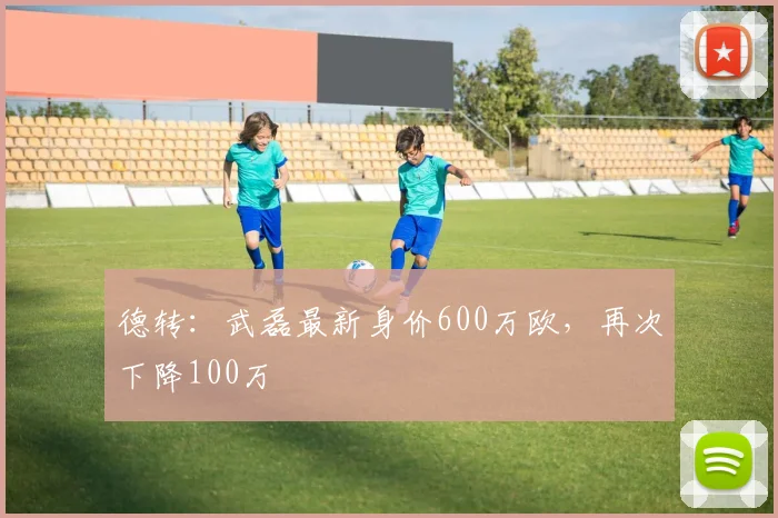 德转：武磊最新身价600万欧，再次下降100万
