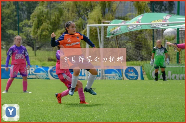 今日阵容全力拼搏