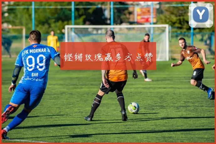 铿锵玫瑰赢多方点赞