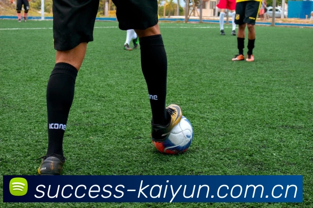 App Interface Preview